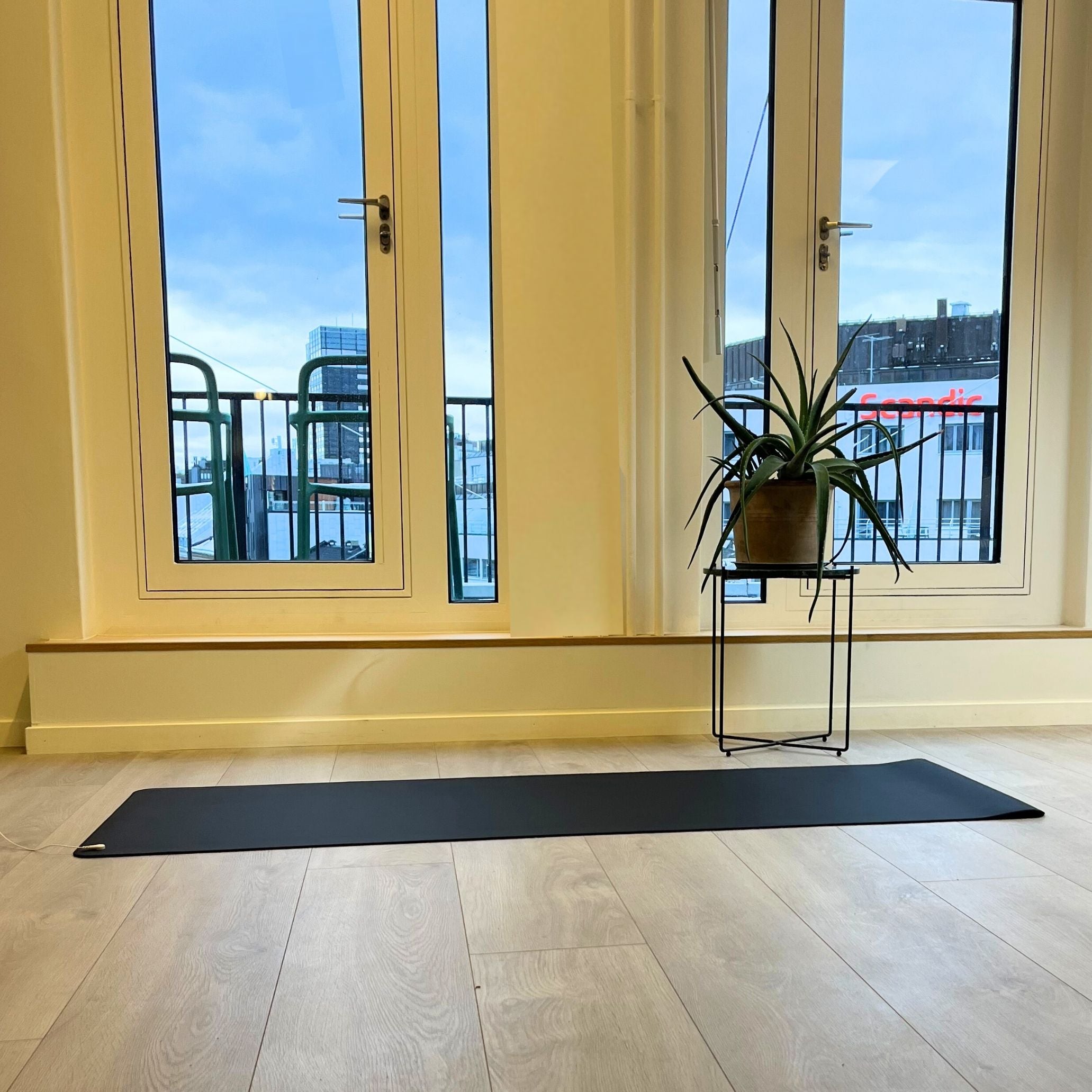 Grounding Yoga Mat (Cord & Plug Included)