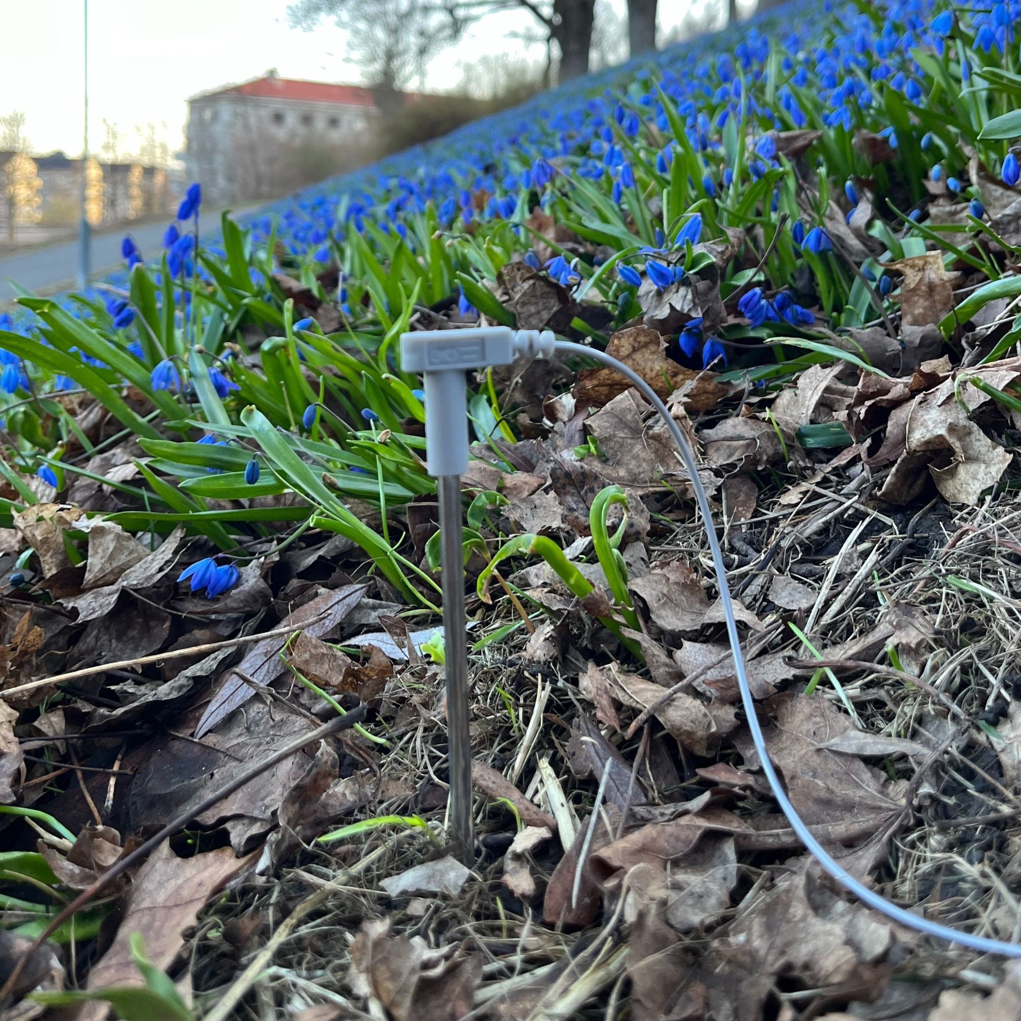 Ράβδος Γείωσης (με καλώδιο 20m)